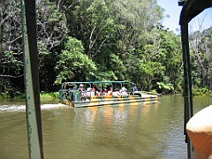 CairnsTC254 Rainforest Station